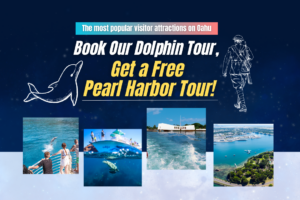 Book Dolphin Watching and Get a FREE Pearl Harbor Tour!