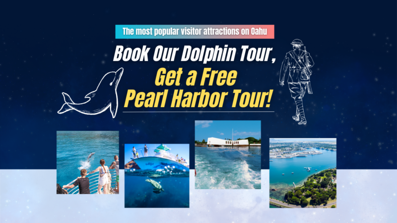 Pearl Harbor-Arizona-Dolphin-Combo Blog