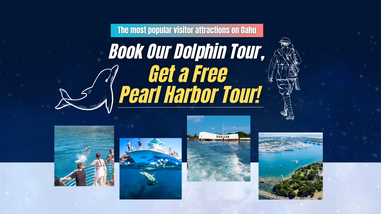 You are currently viewing Book Dolphin Watching and Get a FREE Pearl Harbor Tour!