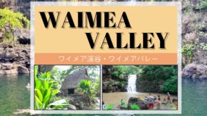 oahu-waimea-tv-blog