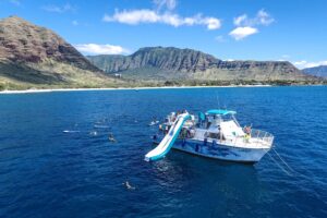 What Types of Oahu Private Charters Are Available?