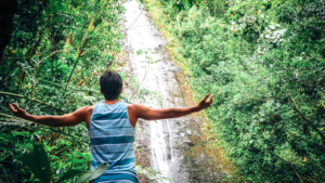 Manoa fall-oahu