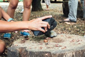 Macadamia Nuts in Hawaii: From Farm to Flavorful Souvenirs