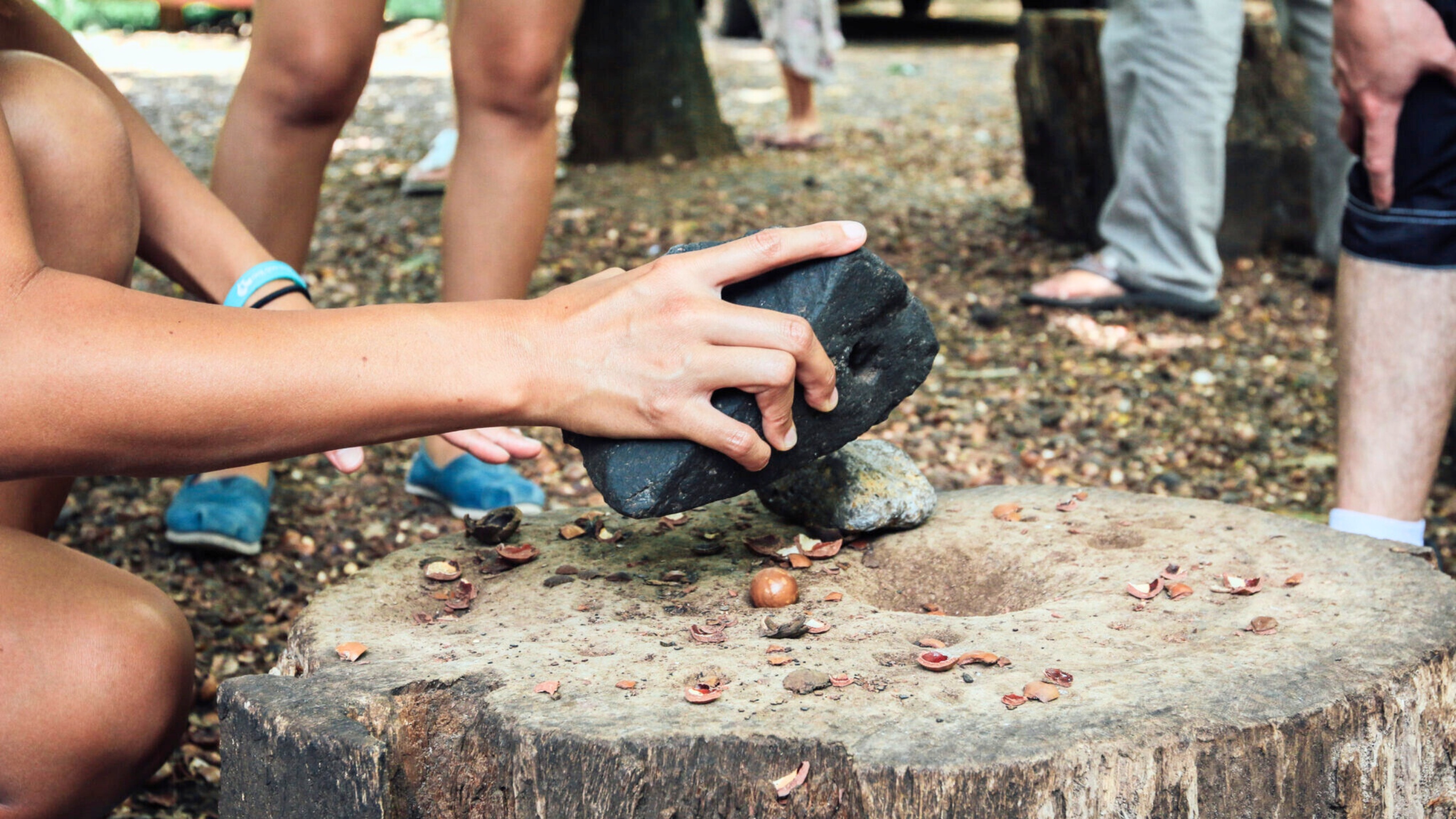 You are currently viewing Macadamia Nuts in Hawaii: From Farm to Flavorful Souvenirs