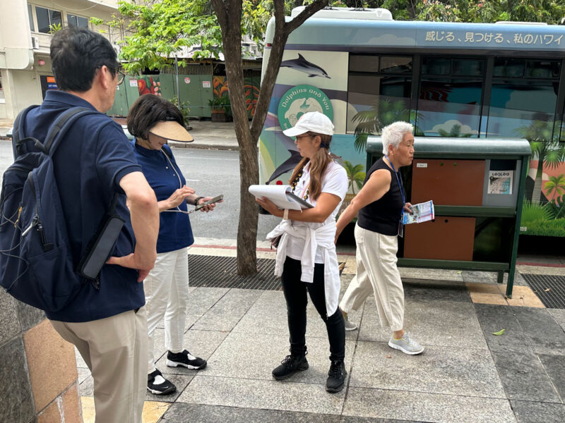 Waikiki Pickup circle Island