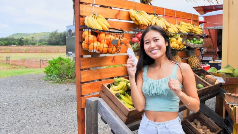 Oahu island tour with local food experience