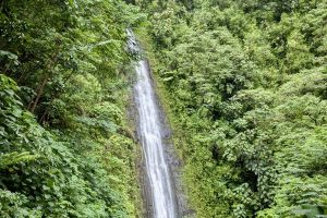 Rainy Day Activities in Oahu: Best Tours to Enjoy in Hawaii When It Rains