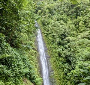 rainy manoa falls