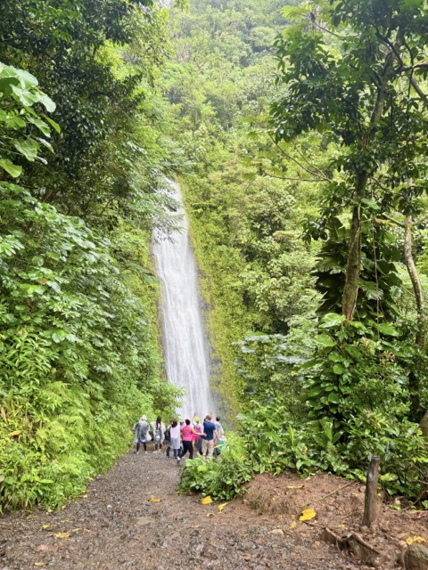 rainy manoa falls