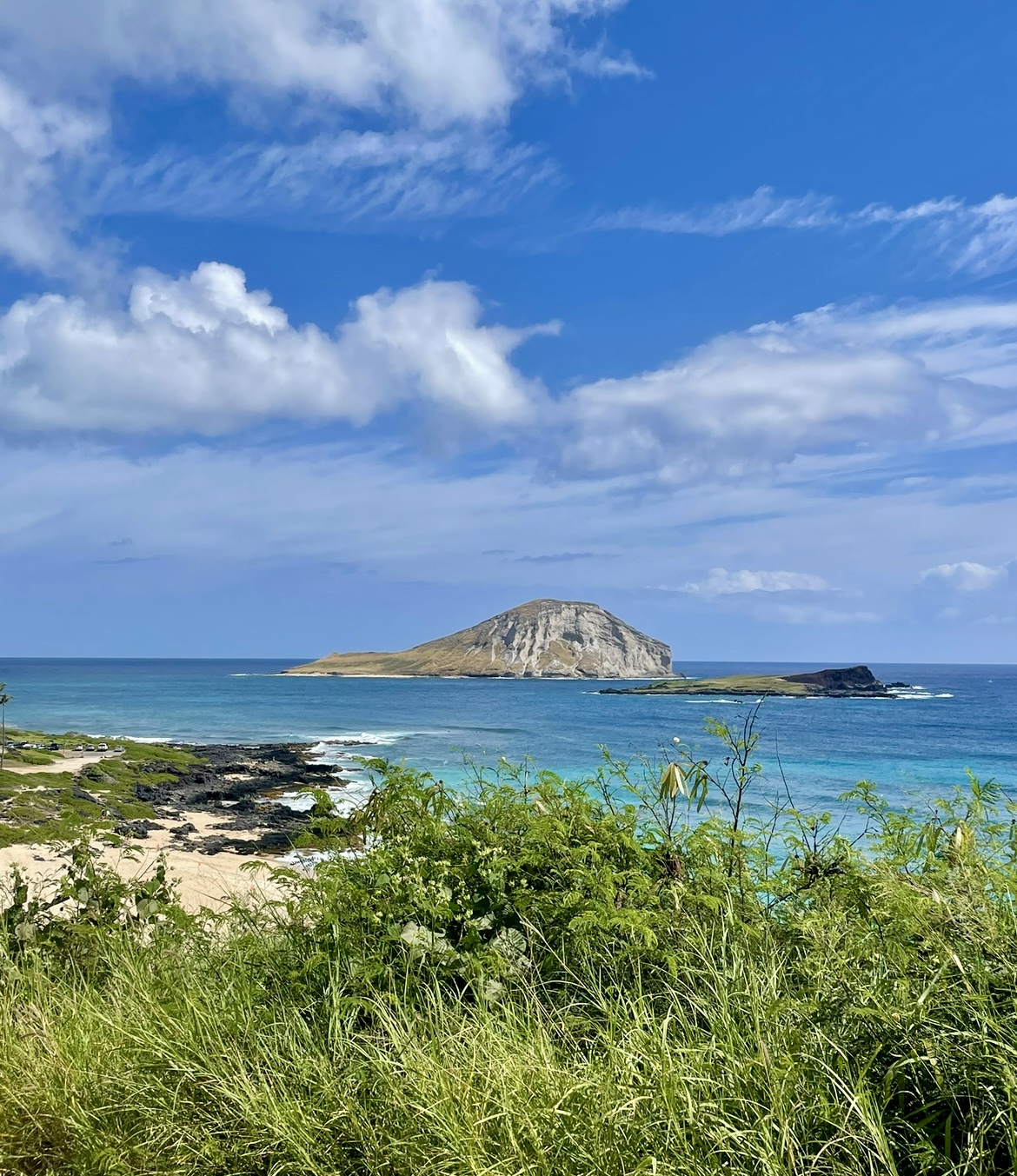 Oahu Full Day Tour