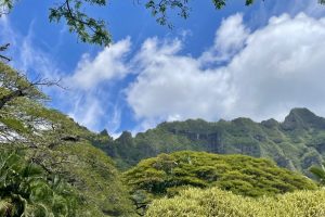 Oahu Full Day Tour: What to Expect from Island and You