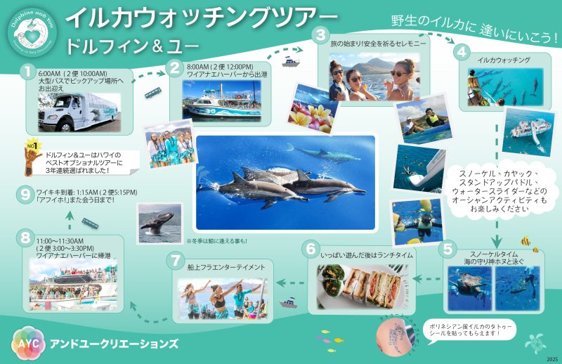 Dolphin and you agenda P1