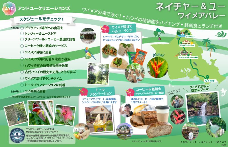 Waimea_jp_back
