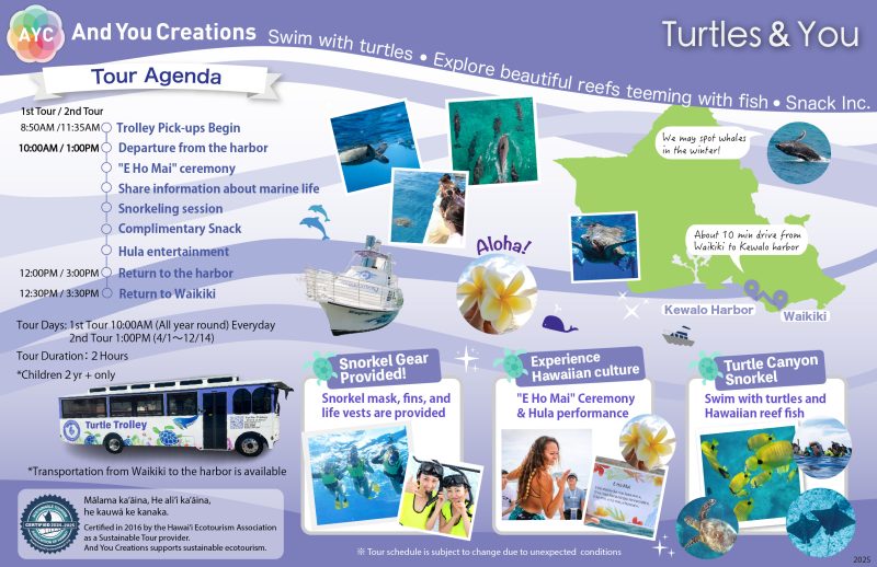 Turtle snorkeling back