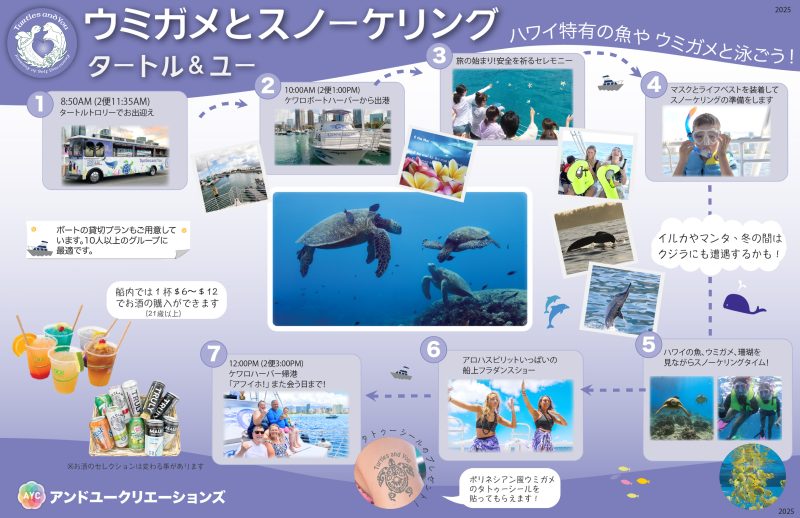 Turtles and You agenda P1