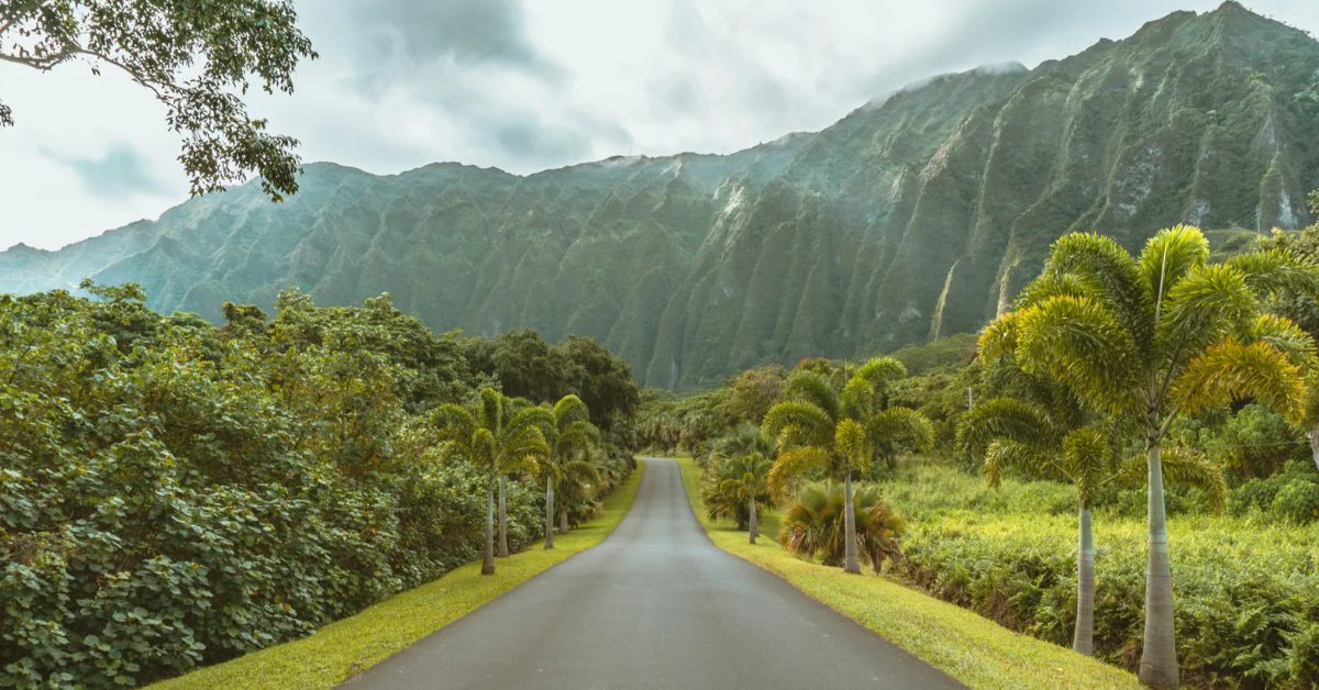 Oahu Botanical Garden