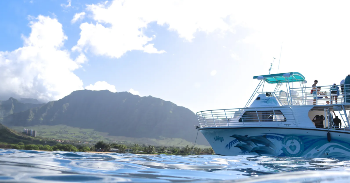 oahu dolphin watching