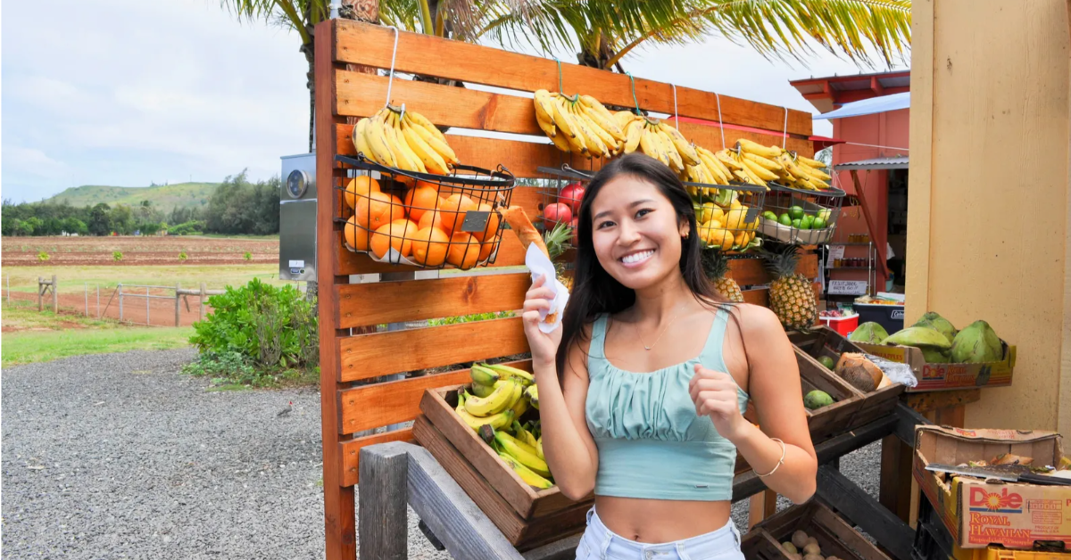 oahu circle island tour