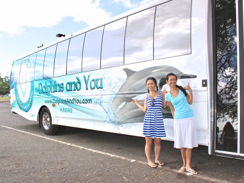 Dolphins and You Transportation