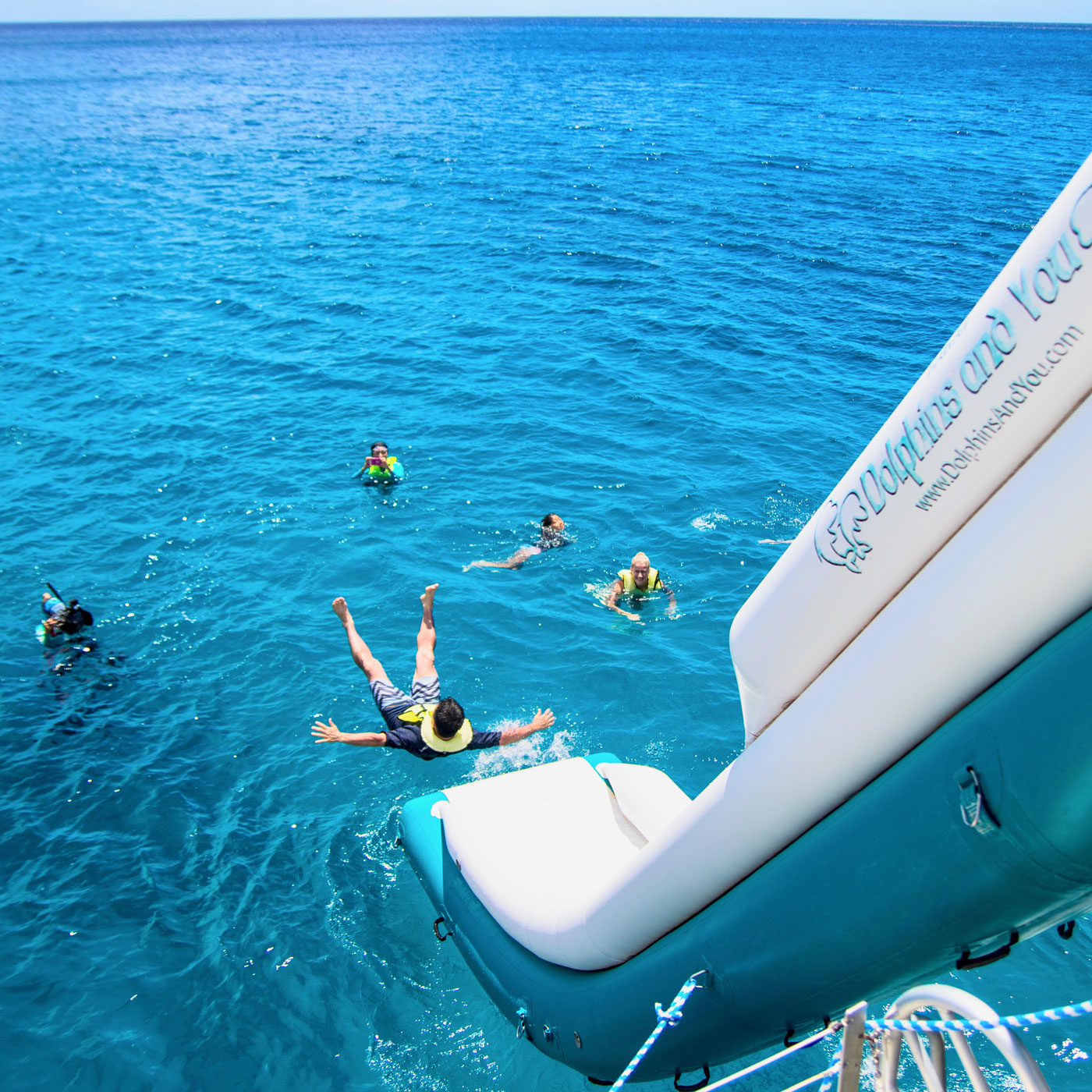 Dolphins and You Water Slide