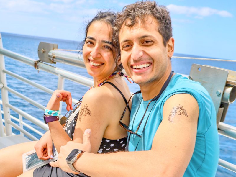 Dolphins and You Tattoo