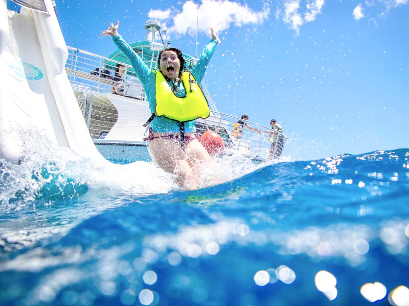 Dolphin watching tour Water slide