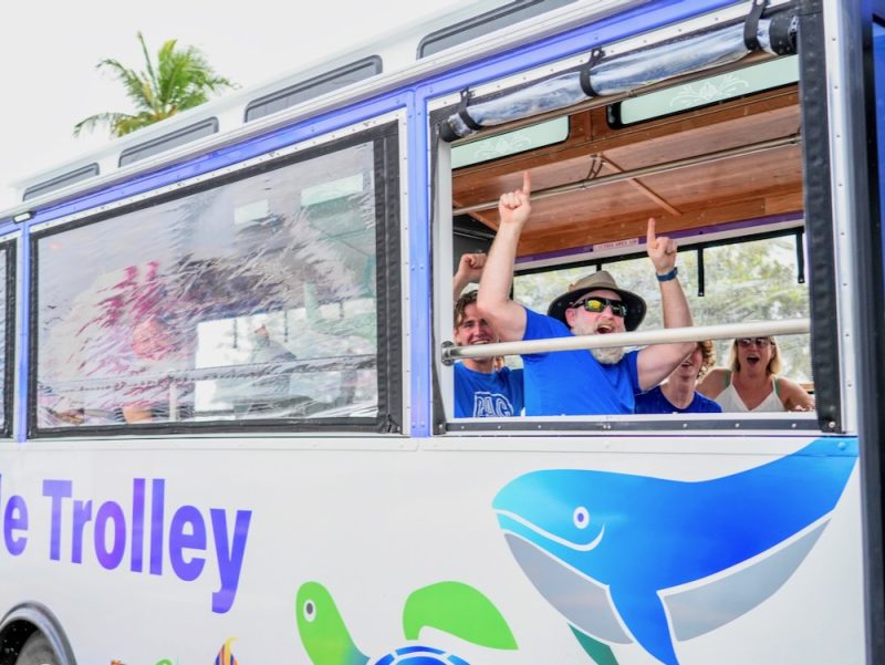 turtle trolley