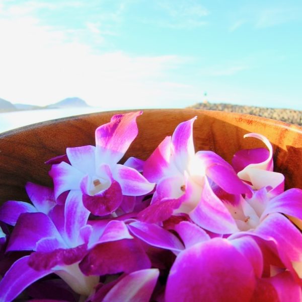 Hawaii flower