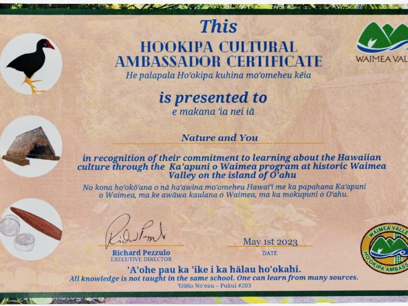 Hookipa Cultural Certificate