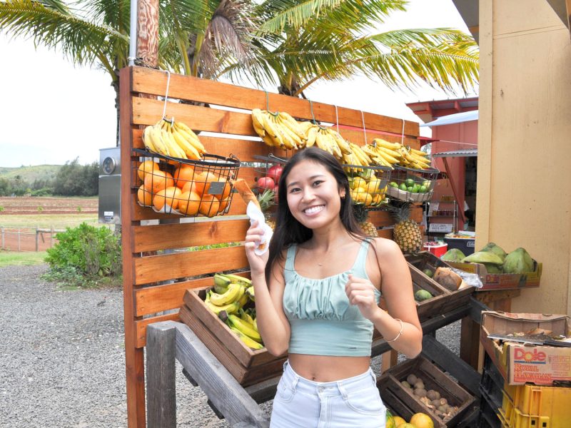 North shore Fruits stand