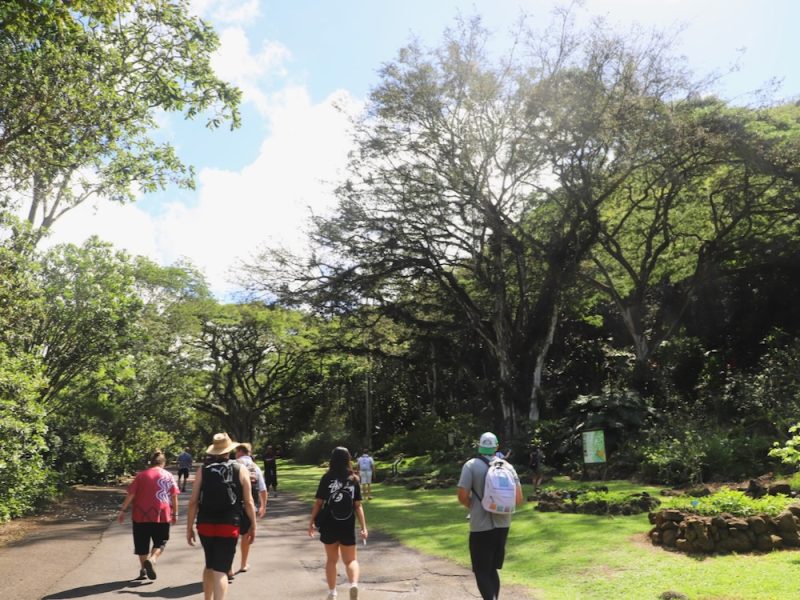 Waimea Valley