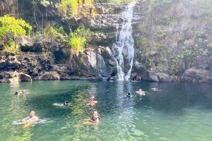 Waimea Valley Waterfall Hike Guide: Trails, Swimming & What to Expect on Oahu