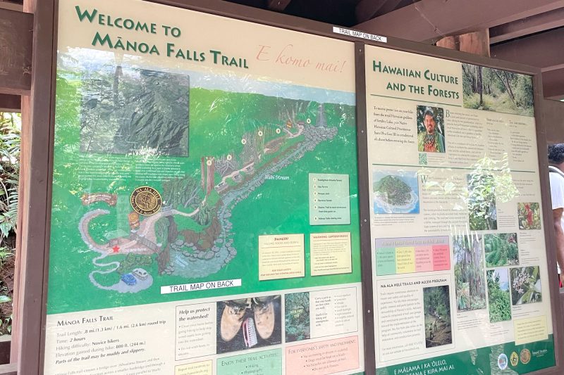 Manoa Falls hiking trail