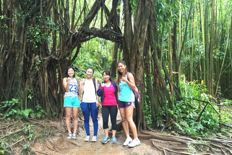 Manoa forest