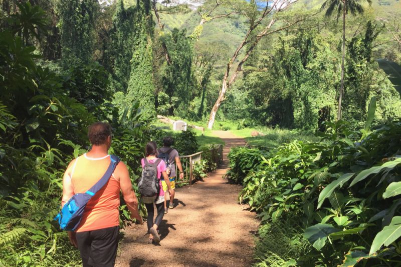 Manoa hiking tour