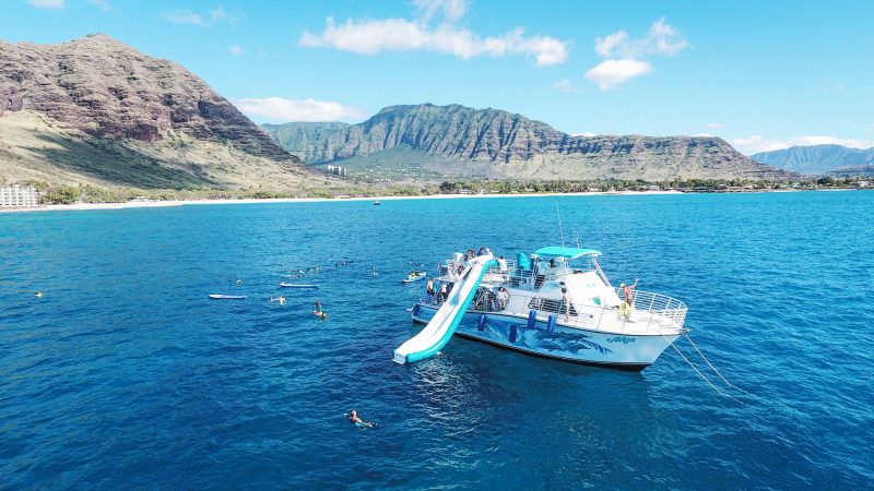 Dolphin watching tour boat
