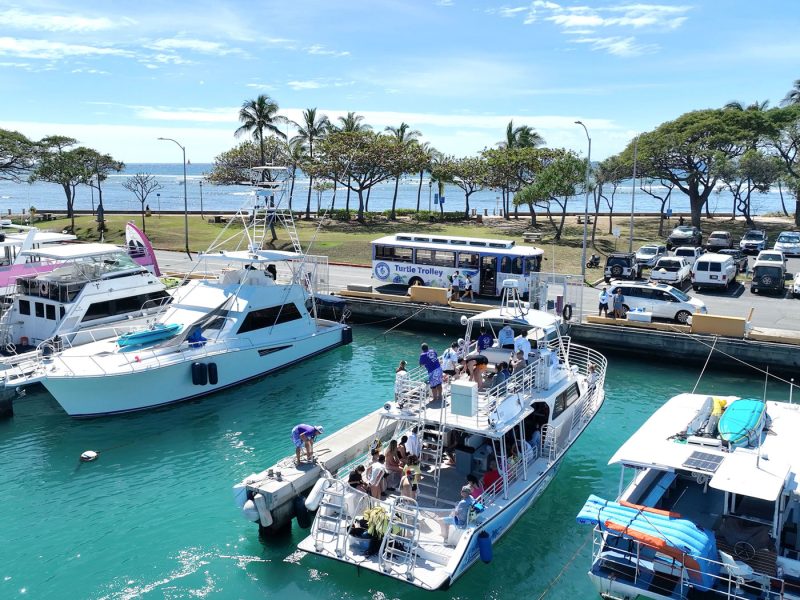 Return to Kewalo Harbor Whales and You