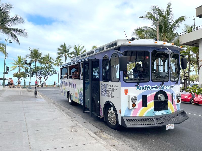 Whales and You pick up from Waikiki