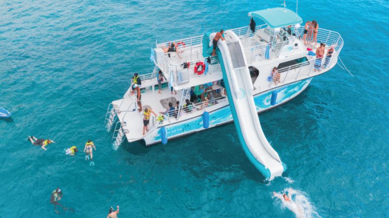 dolphins and you tour in hawaii