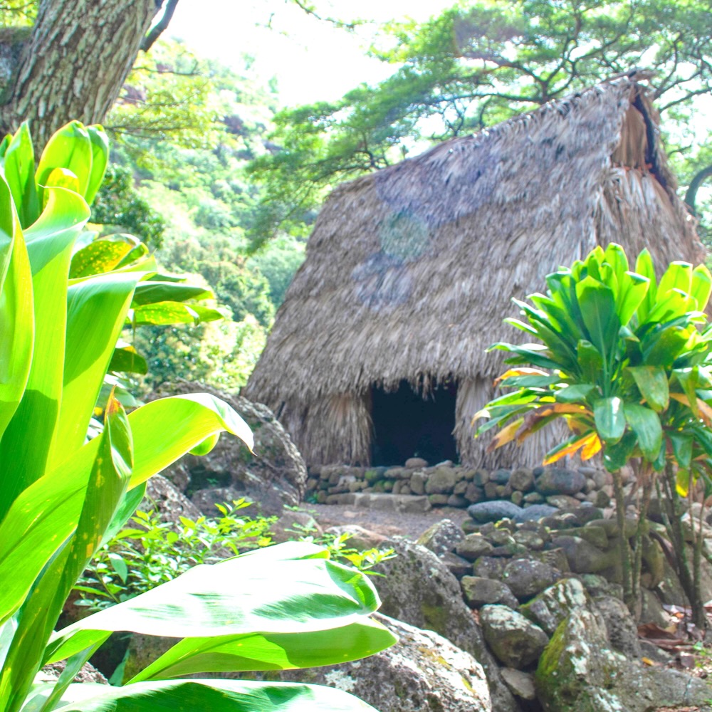 Hawaiian Hale