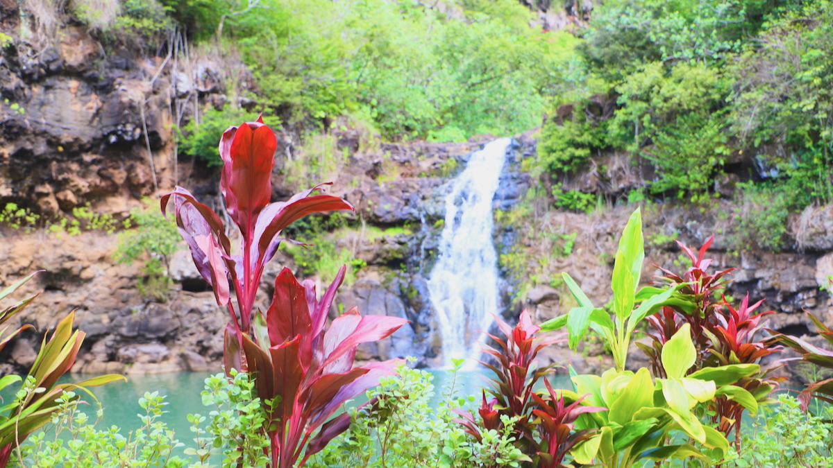 Waimea waterfalls