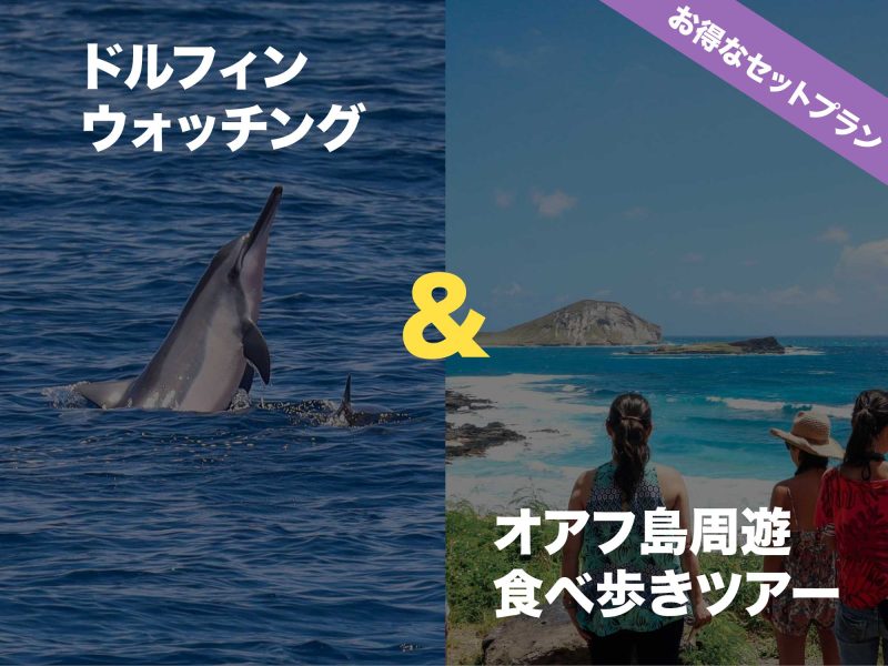 ドルフィンツアーとオアフ島1周ツアーのセットプラン