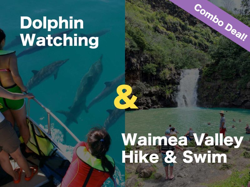 Combo - Dolphin watching & Waimea hike and swim
