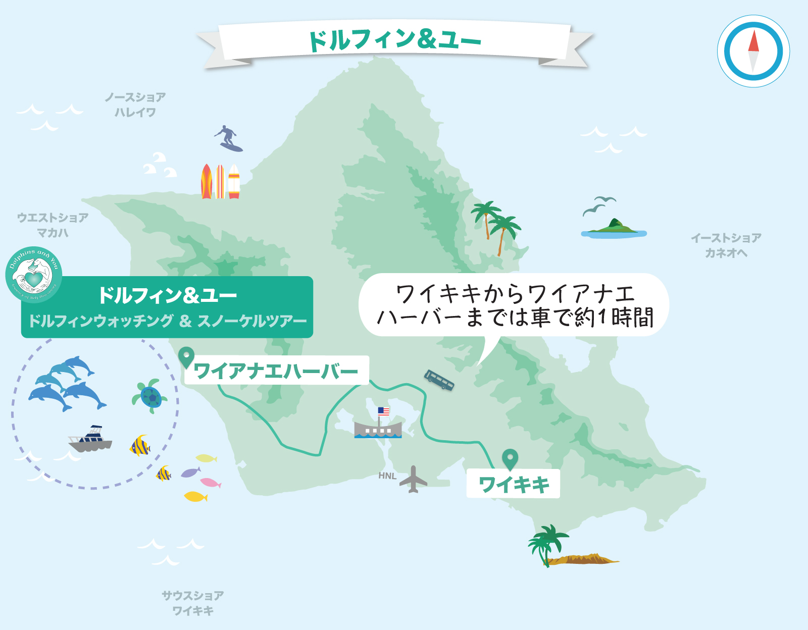 イルカツアーマップ