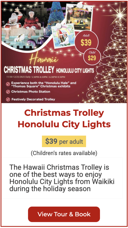 Honolulu City lights tour