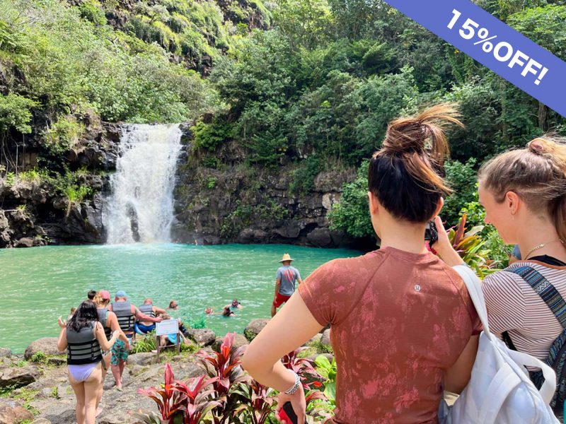 Discounted Waimea falls hiking&Swim tour