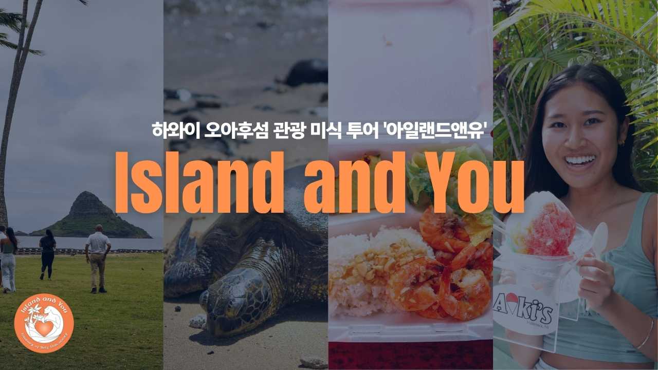 아일랜드앤유