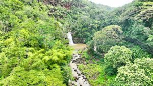 hawaii pono travel