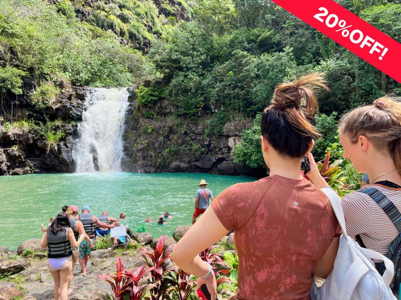 Discounted Waimea falls hiking&Swim tour