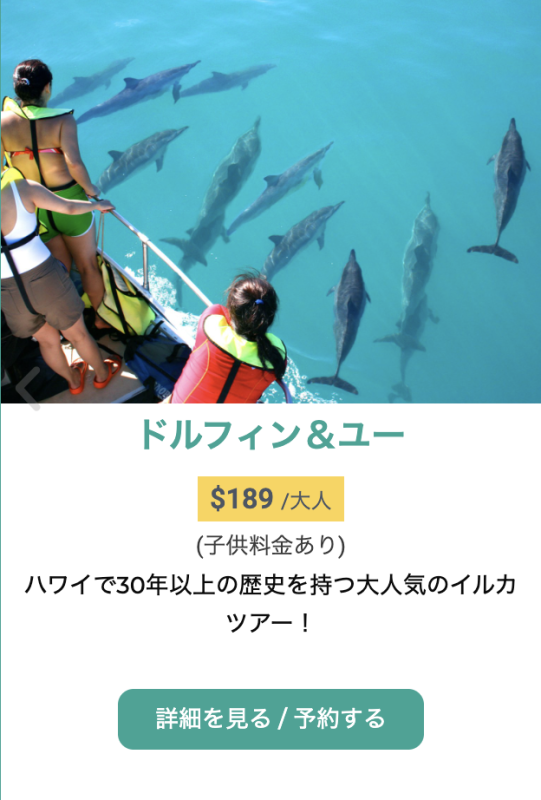 ハワイ イルカツアー